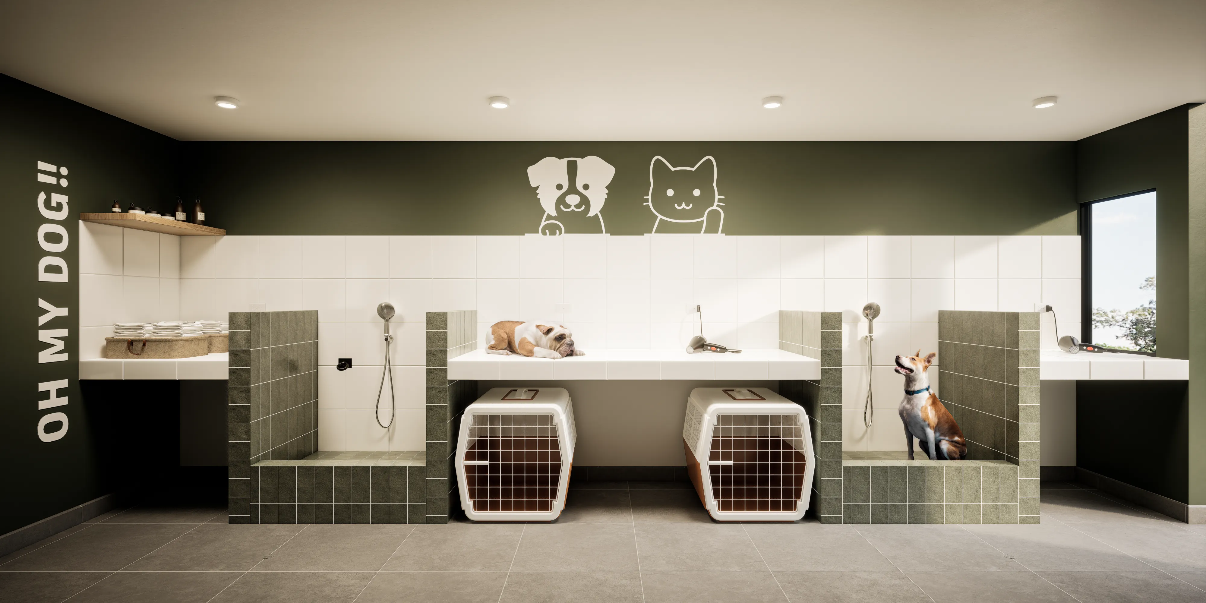 Pet Zone